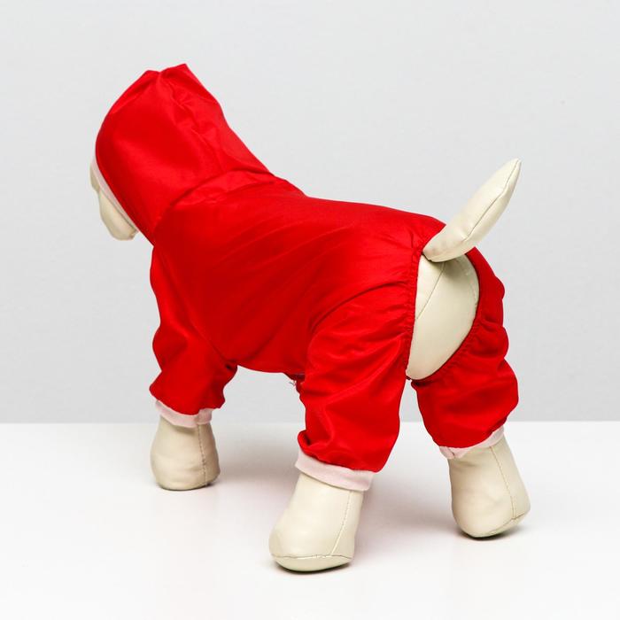 Комбинезон для собак, S (ДС 22 см, ОГ 32 см), красный