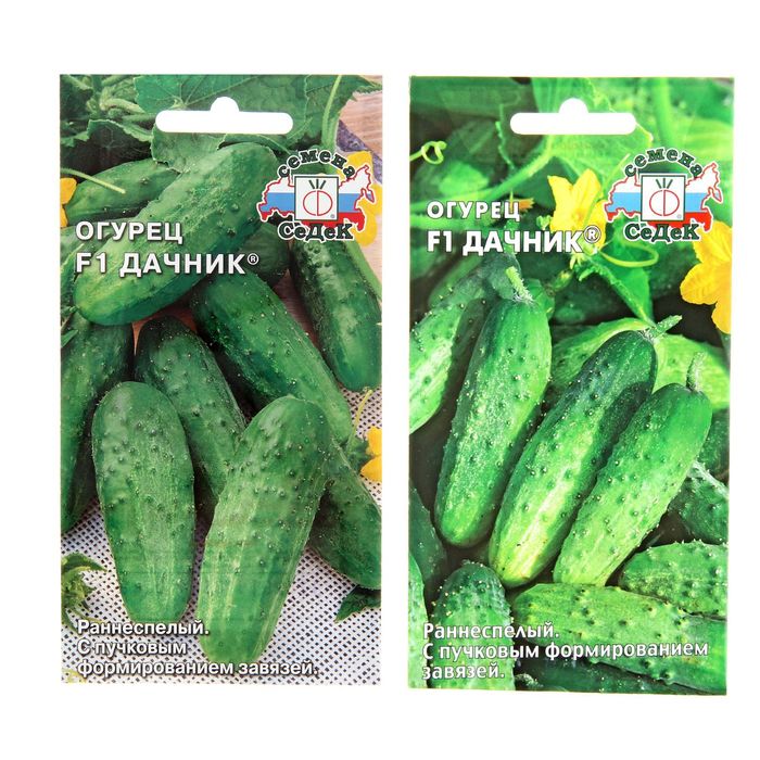 Семена огурец Дачник F1 з/г 0,2 г.