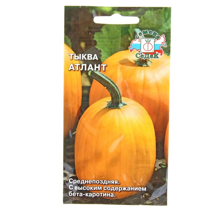 Семена тыква Атлант 1 г.