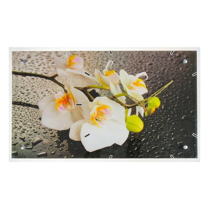 Часы настенные прямоугольные "Орхидея", 35х60 см