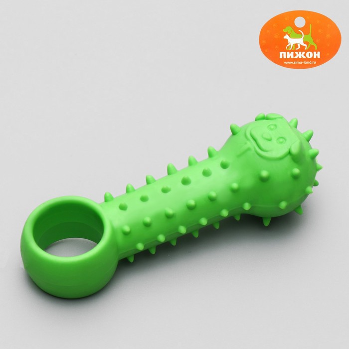 Игрушка-дразнилка "Поймай меня!", TPR, 9,5 см, микс цветов