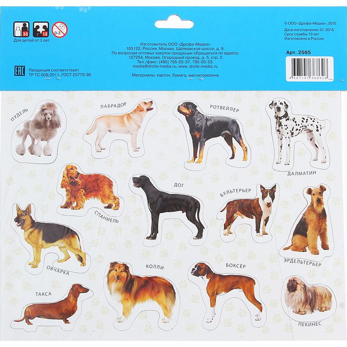 Магнит "Домашние любимцы"