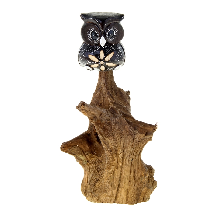 Сувенир "Умудрённая сова на корне" МИКС
