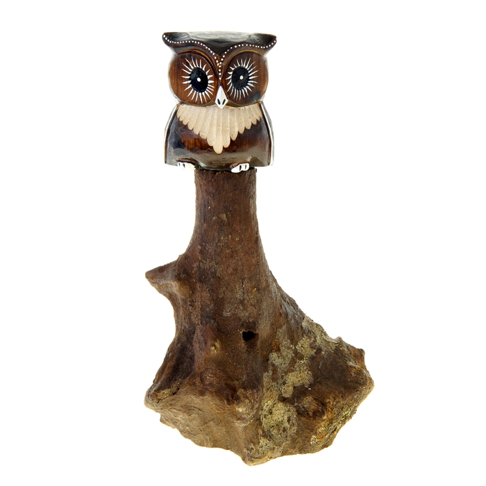 Сувенир "Славная сова на корне" МИКС