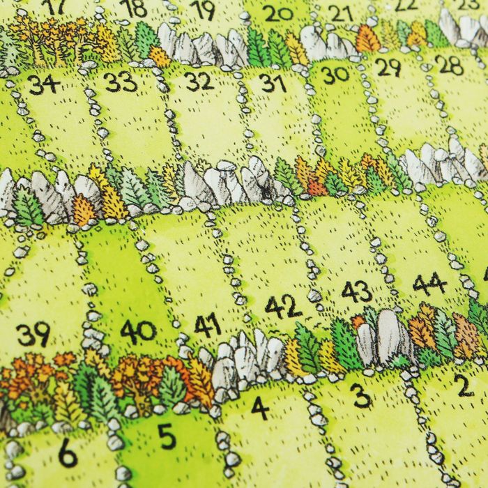 Настольная игра "Каркассон. Охотники и собиратели"