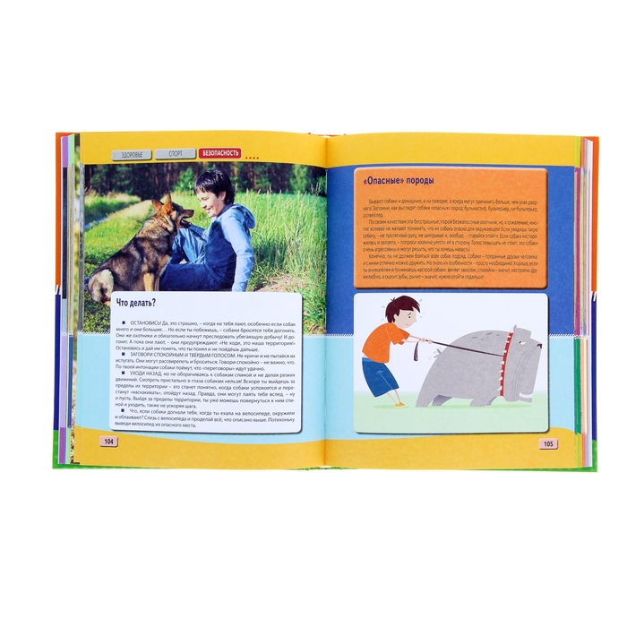 Иллюстрированная энциклопедия только для мальчиков. Книга-подарок 256стр