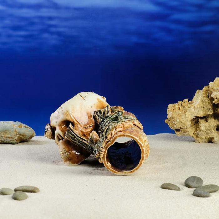 Декорации для аквариума ''Коряга и череп'' коричневый