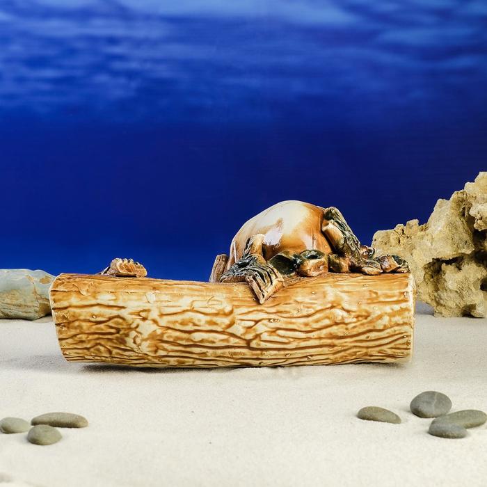 Декорации для аквариума ''Коряга и череп'' коричневый