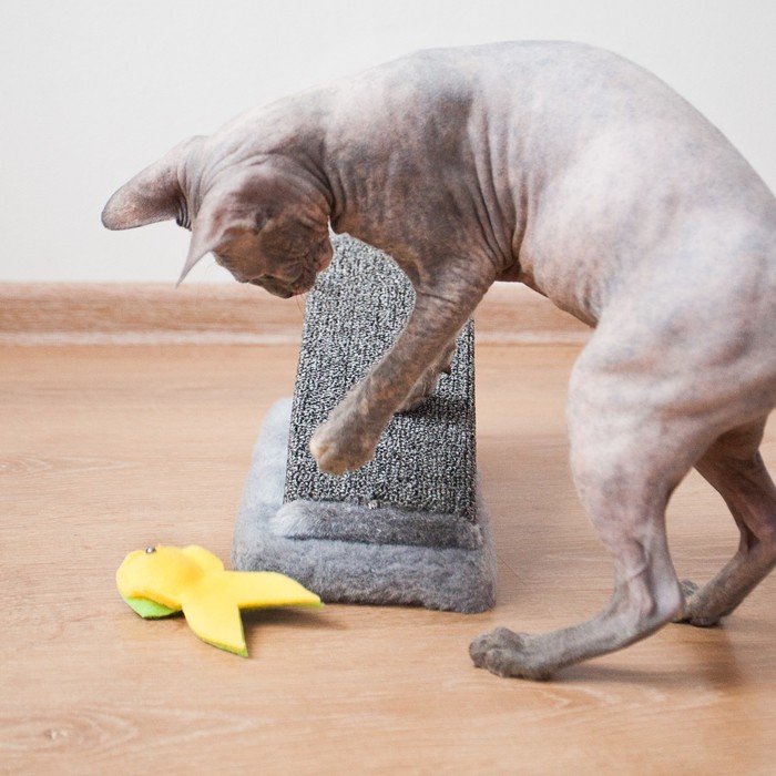 Игрушка "Рыбка", 10 см микс цветов