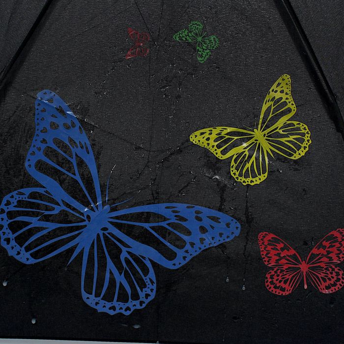 Зонт автоматический "Тайные знаки", R=51см, с проявляющимся рисунком, разноцветный