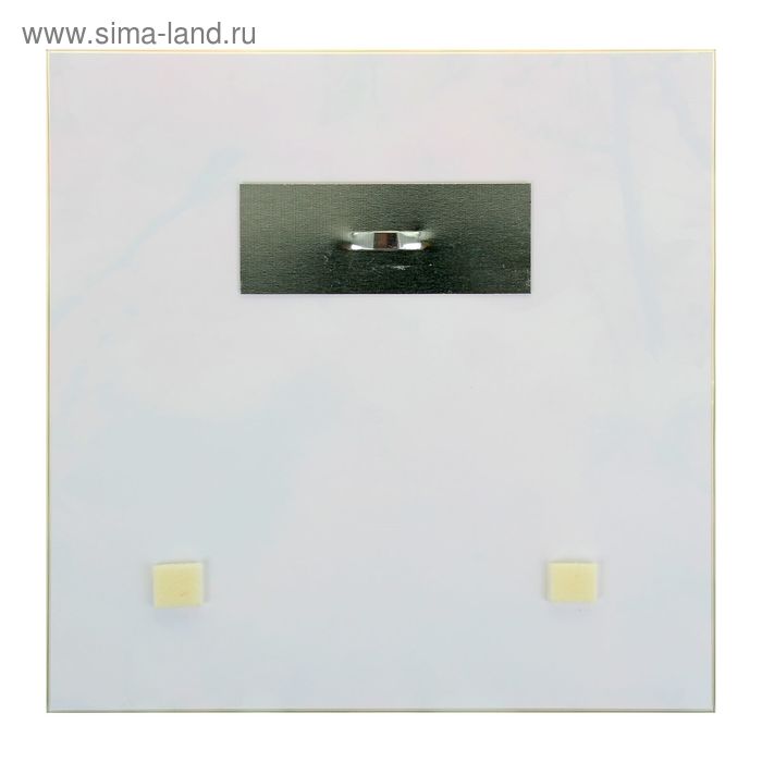 

Картина на стекле "Леопард" 30*30см