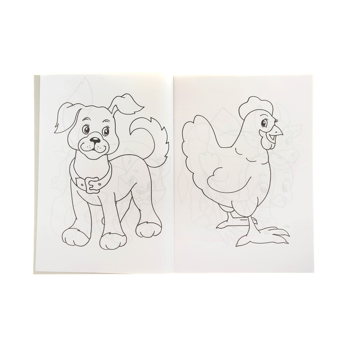 Раскраска А4 первая раскраска "Домашние животные"