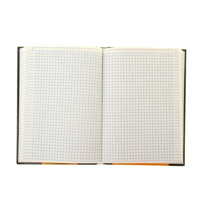 Колледж-тетрадь 160 листов клетка Swatch, твердая обложка