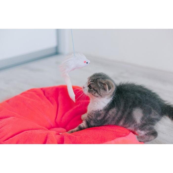 Дразнилка-удочка с белой мышью