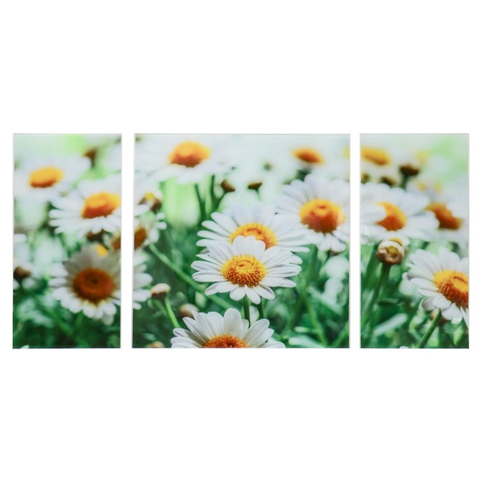 Модульная картина на стекле "Ромашки", 2 — 25×50, 1 — 50×50 см, 100×50 см