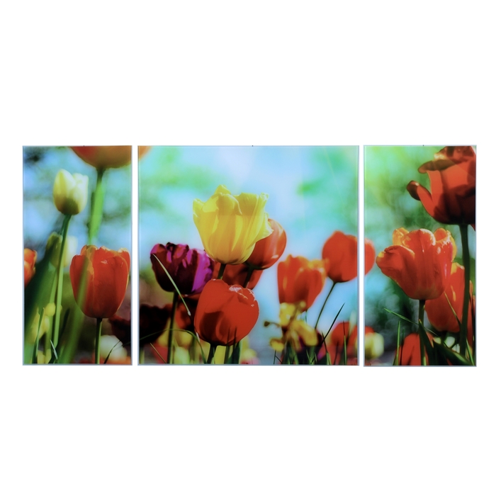 Модульная картина на стекле "Тюльпаны", 2 — 25×50, 1 — 50×50 см, 100×50 см