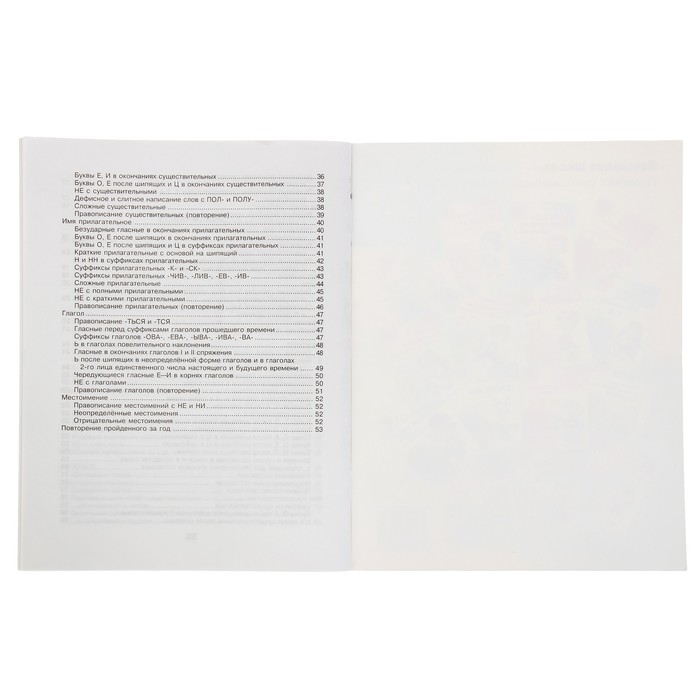 Контрольный урок. Словарные диктанты для младших школьников