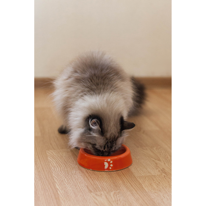 Миска 200 мл "Следы", цвет оранжевый