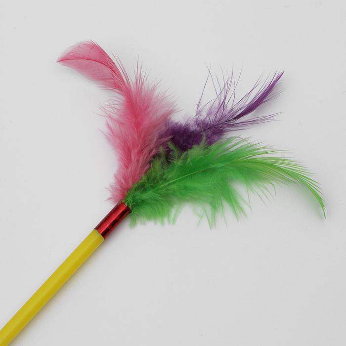 Дразнилка с пером, 39 см, микс цветов