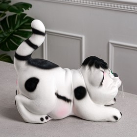 

Копилка "Кот Афоня", флок, белая, 30 см
