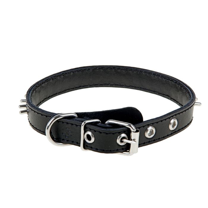 Ошейник кожаный, двухслойный, 2 см х 31-43 см, с шипами, микс