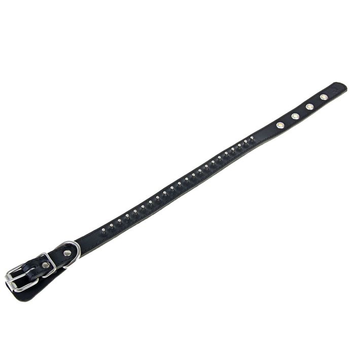 Ошейник кожаный, двухслойный, 2 см х 31-43 см, с шипами, микс