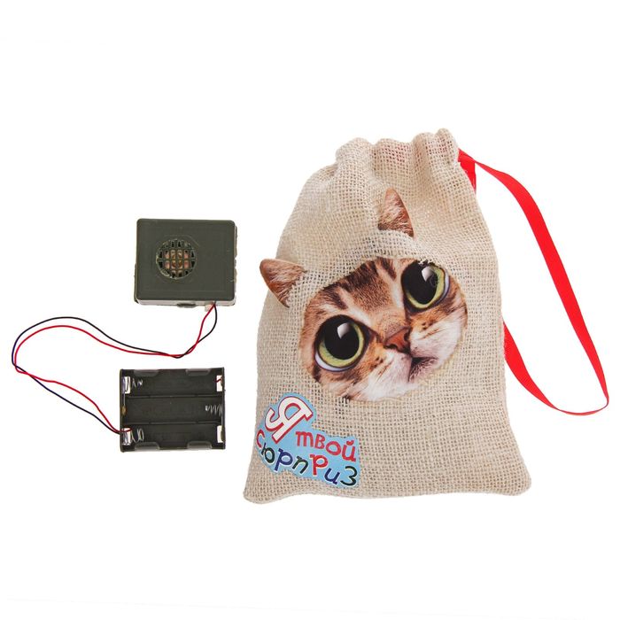 Прикол кот в мешке "Я твой сюрприз" + звуковой элемент