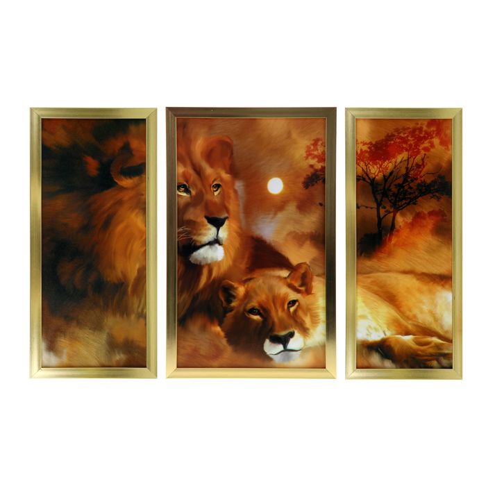 Модульная картина в раме "Лев и львица", 2 шт. — 20×53 см, 1 шт. — 39×53 см, 53×79 см