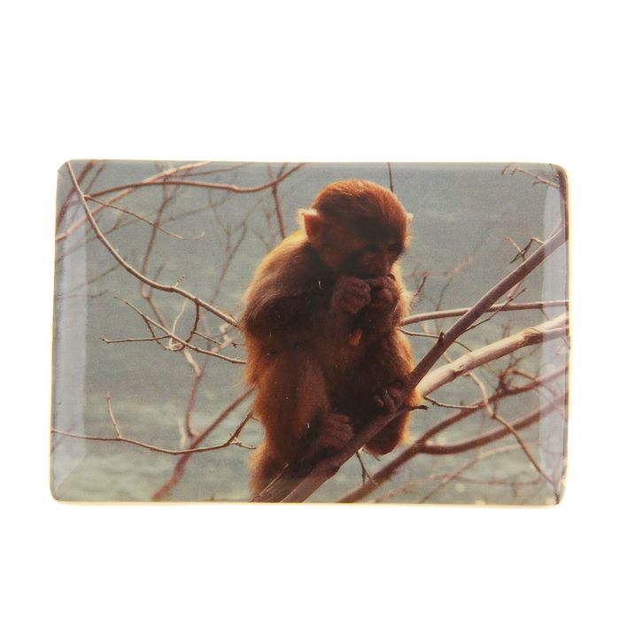 Магнит "Малыш обезьянка не ветке"