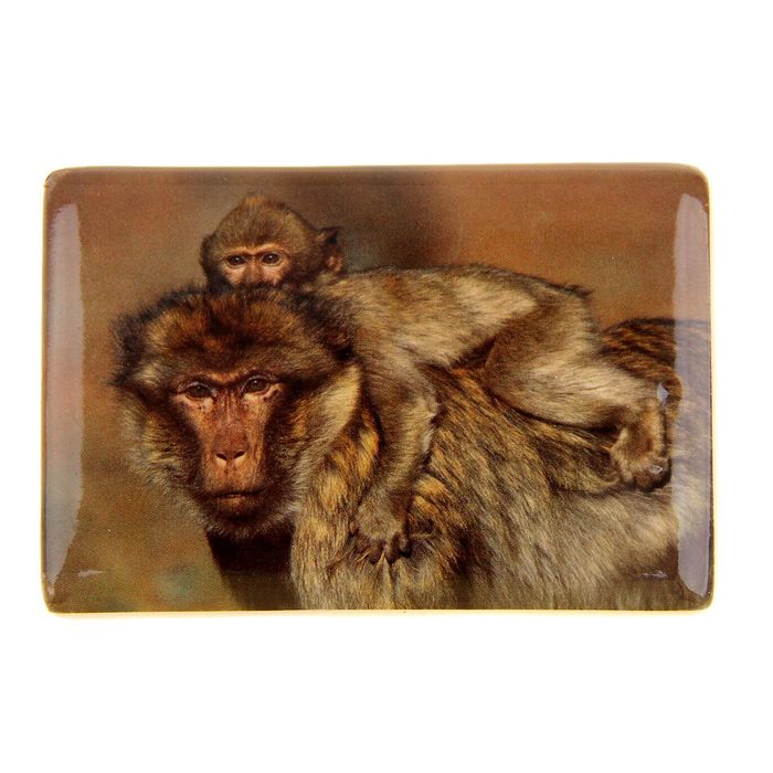 Магнит "Мохнатая обезьянка с малышом"