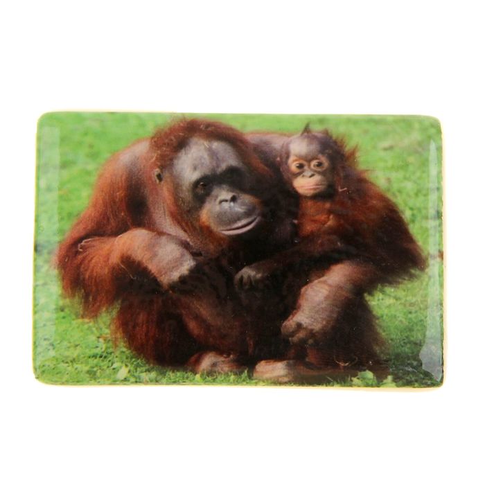 Магнит "Шимпанзе с малышом"