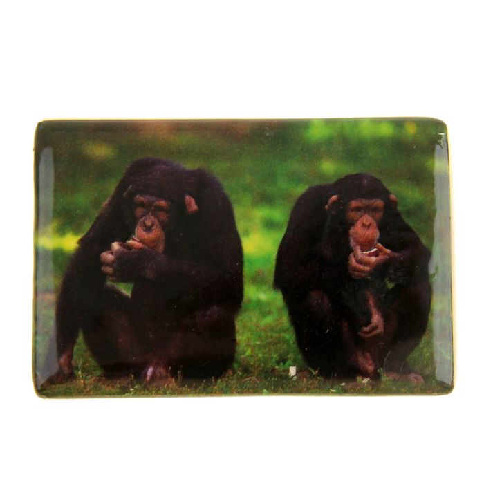 Магнит "Смущенные обезьянки"