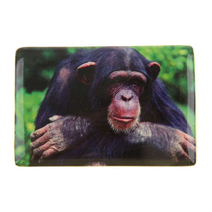 Магнит "Задумчивая обезьянка"