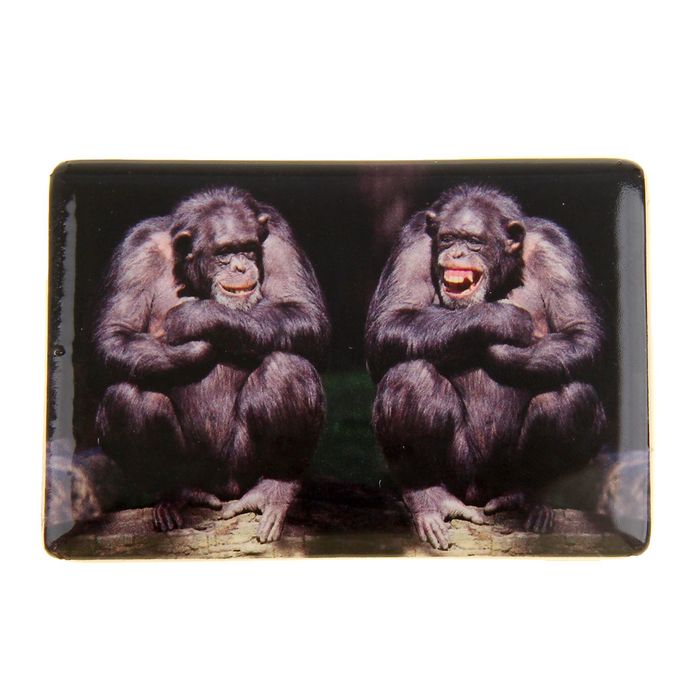 Магнит "Обезьянки тет-а-тет"