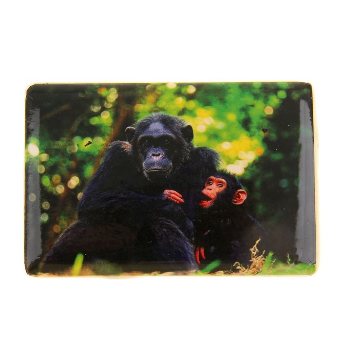 Магнит "Обезьянки на полянке"