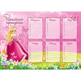 Расписание уроков А4 'Для принцессы' Ош
