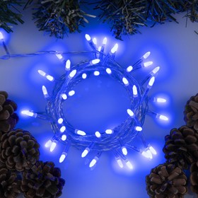 Гирлянда "Нить" 5 м с насадками "Игла", IP20, прозрачная нить, 50 LED, свечение синее, 8 режимов, 220 В