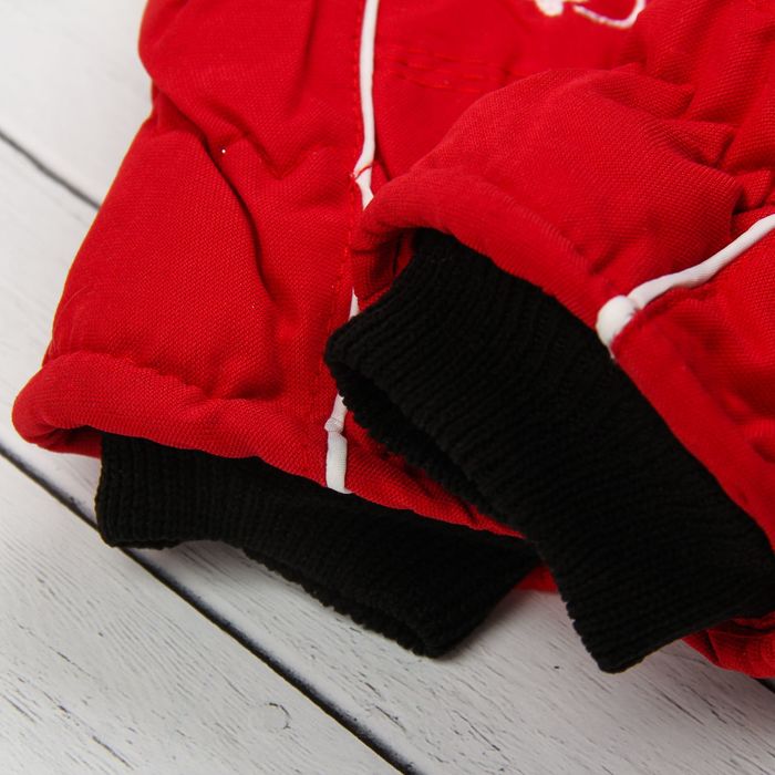 Варежки детские "Спорт", размер 18 (р-р произв. 18*3*9), цвет красный 65376