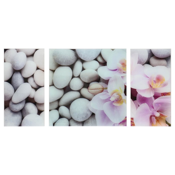 Модульная картина на стекле "Цветы на камнях", 2 — 25×50 см, 1 — 50×50 см, 100×50 см