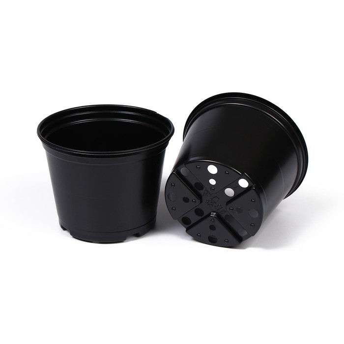 Набор для рассады: стаканы по 200 мл (18 шт.), поддон 42 × 23