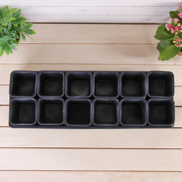 Набор для рассады: стаканы - 12 шт. по 400 мл, поддон 52 х 18 см, МИКС