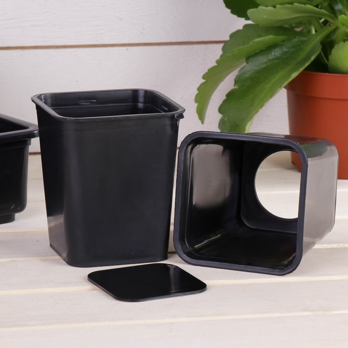 Набор для рассады: стаканы - 12 шт. по 400 мл, поддон 52 х 18 см, МИКС