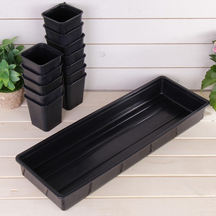 Набор для рассады: стаканы - 12 шт. по 400 мл, поддон 52 х 18 см, МИКС