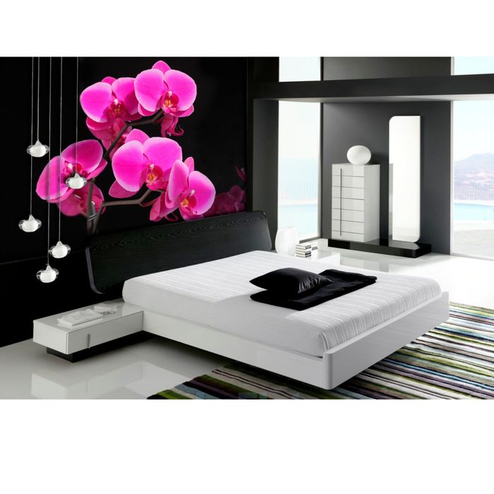 Фотообои К-006 «Экзотика» (6 листов), 210 × 200 см