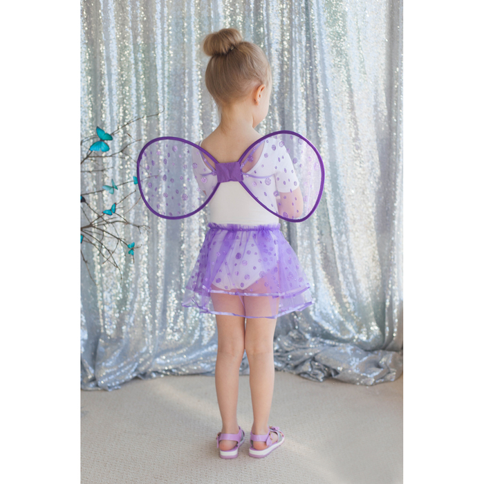 Карнавальный набор "Маленькое чудо", 2 предмета: крылья, юбка, 3-6 лет, цвет фиолетовый