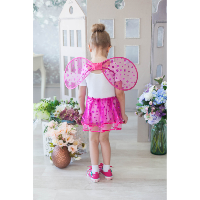 Карнавальный набор "Маленькое чудо", 2 предмета: крылья, юбка, 3-6 лет, цвет розовый