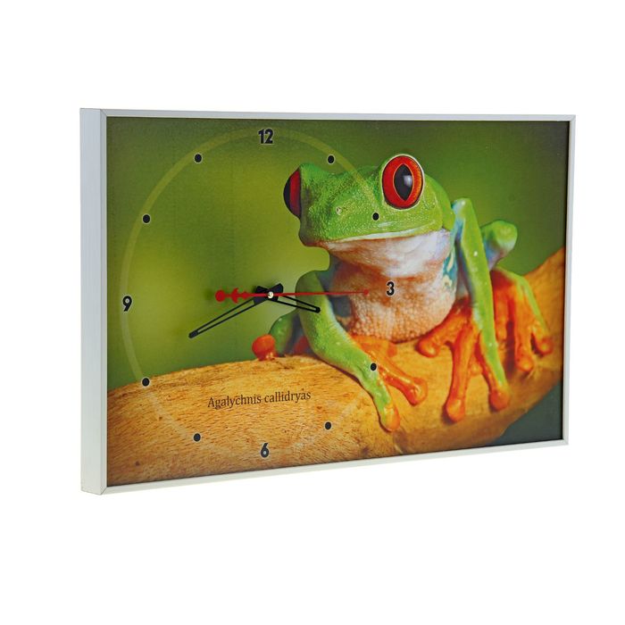 Часы-картина "Красноглазая древесная лягушка", микс 37х60 см