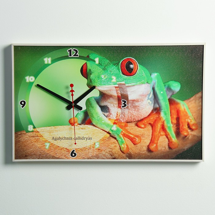 Часы-картина "Красноглазая древесная лягушка", микс 37х60 см