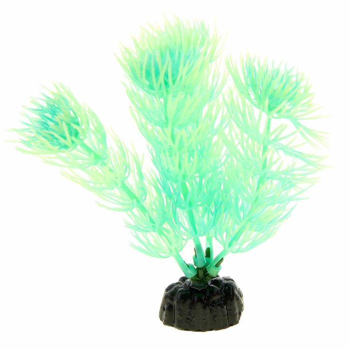 Растение, светящееся в темноте, 10см, Plant 55