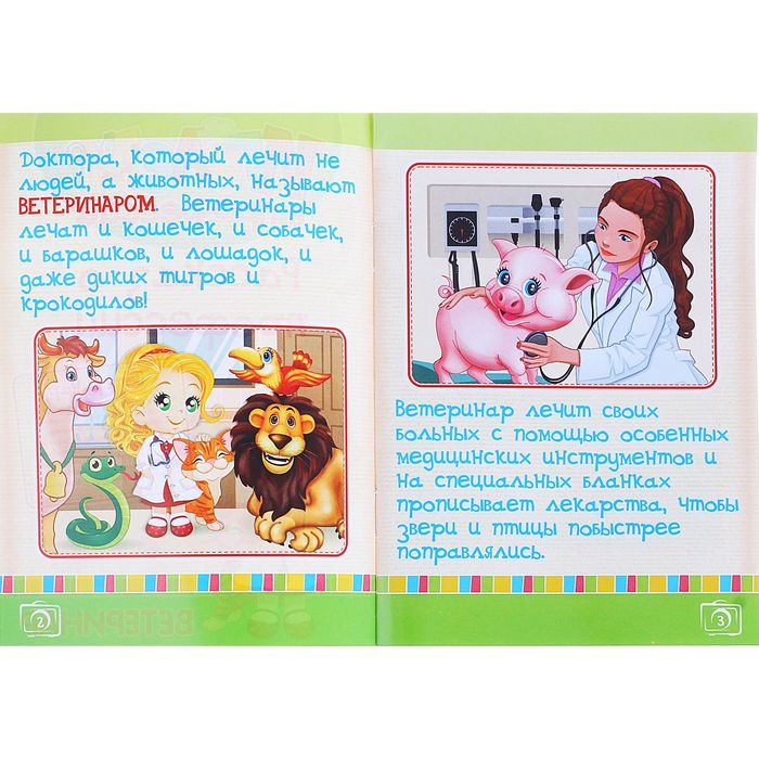 Набор игровой "Bетеринар" с куклой, 17 предметов, рассказ о профессии, БОНУС - игра "Угадай, кто?", цвета МИКС